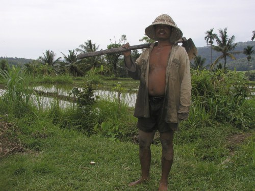 Ein Bauer vor seinem Reisfeld