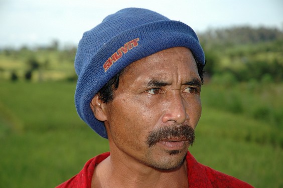 Der schüchterne Herr war gerade mit seiner Sichel unterwegs, um Futter zu schneiden