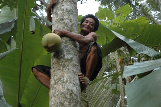 Weil wir durstig waren, wurde schnell eine frische Kokosnuß geerntet