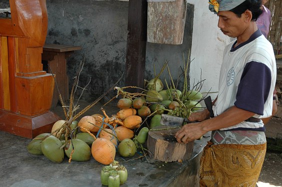Dieser junge Mann putzt Kokosnüsse für die Opfergaben