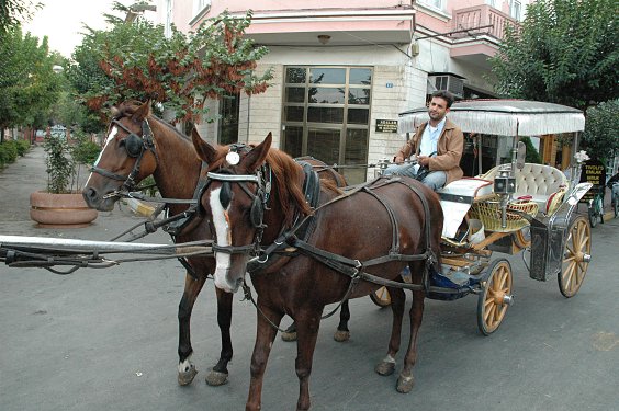 Unser Kutscher mit unserer Kutsche und unseren Pferden aber ohne uns. Eine romantische Kutschfahrt auf Büyük Ada's Straßen zeigte uns, wie und wo die Istanbuler ihre Sommermonate verbringen.